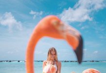 Ottegram – February Had Friends, Family and Fun